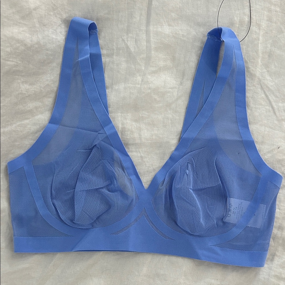 EBY Sheer Blue Bralette